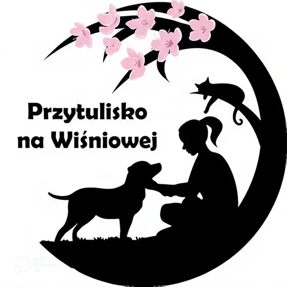 Przytulisko na Wiśniowej