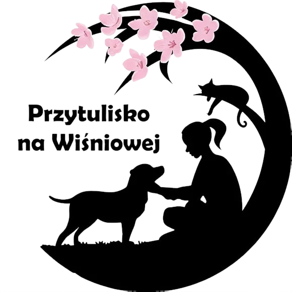 Przytulisko na Wiśniowej
